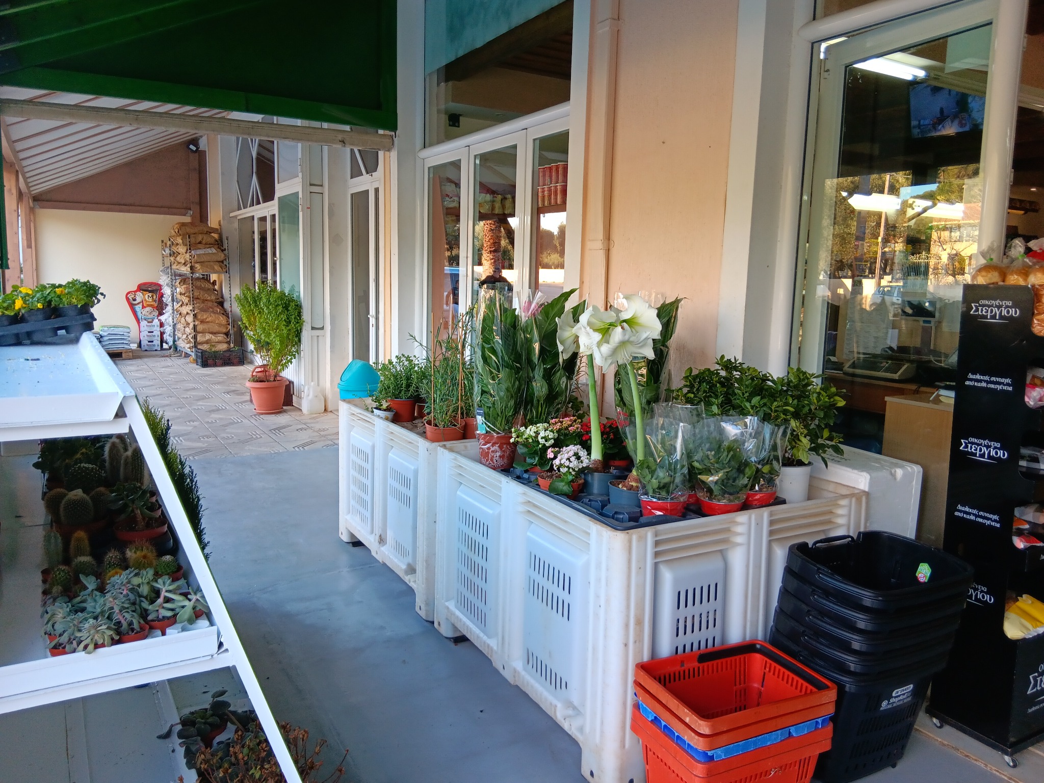 Φρουτοχονδρική Λειβαθούς