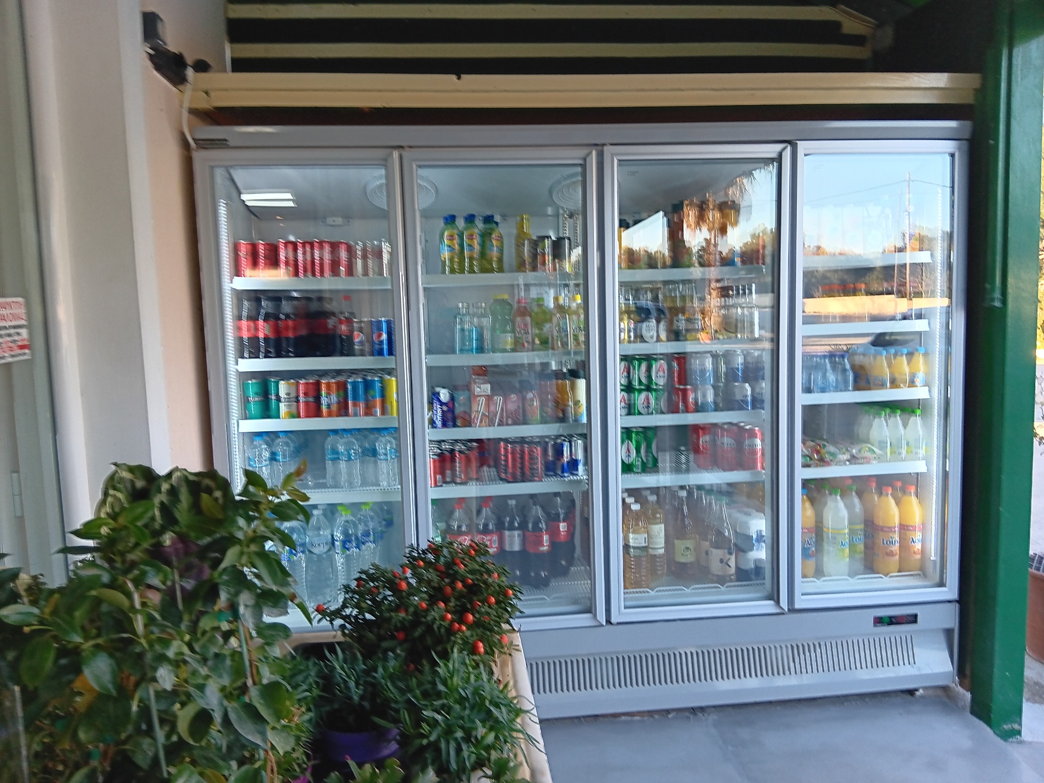 Κατεψυγμένα ψάρια & θαλασσινά